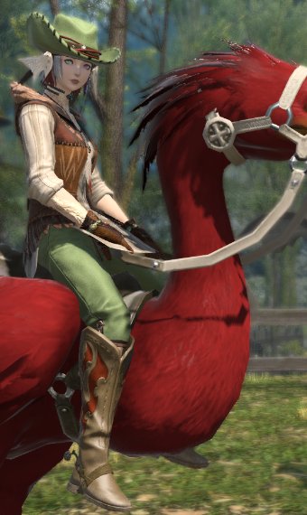 Chocobo Rancher glamour outfit - cover-0-1674935272.png